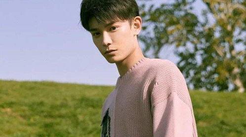 吃瓜娱乐圈丁禹兮,娱乐圈的瓜田新秀，星光熠熠的蜕变之路