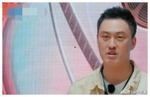 娱乐圈吃瓜神秘人是谁啊,揭秘神秘“瓜农”背后的故事