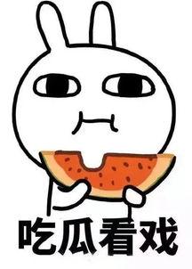 娱乐吃瓜酱饿了么,揭秘美食与娱乐的完美融合